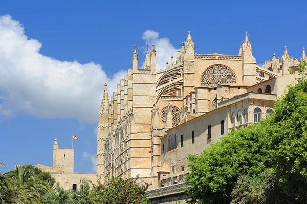 A Catedral de Santa Maria em Palma de Maiorca — Fotografia de Stock