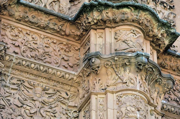 Façade de l'Université de Salamanque avec grenouille sur un crâne (Distribution — Photo