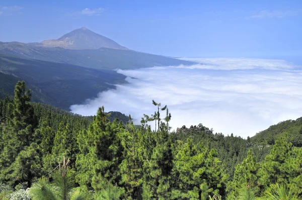 Weergave van tenerife eiland — Stockfoto