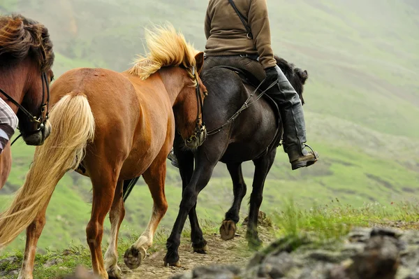 Excursión a caballo en Islandia — Foto de Stock