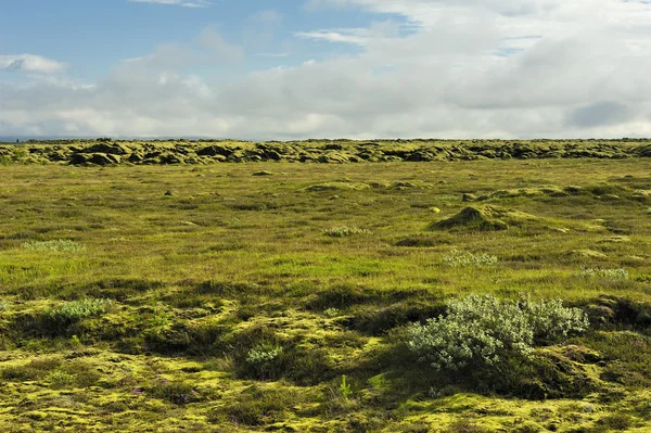 Campo de lava em Eldhraun — Fotografia de Stock