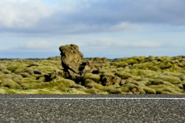 Route traversant un champ de lave envahi par les mousses — Photo