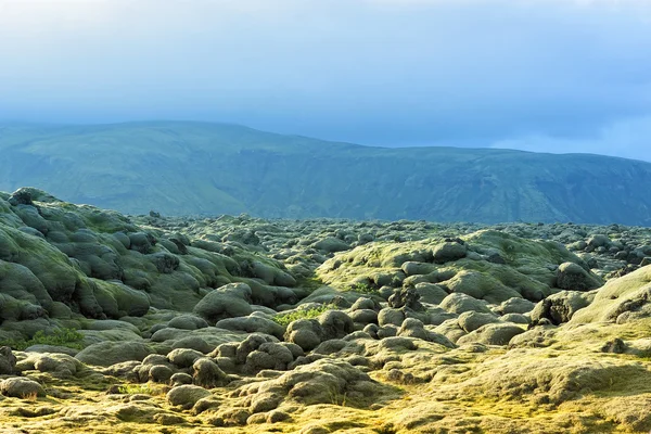 Lava fält på eldhraun — Stockfoto