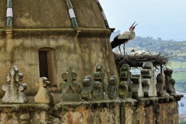 leyleklerin yuva chirch (trujillo, extremadura, spain)