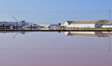 Salinas de San Pedro del Pinatar