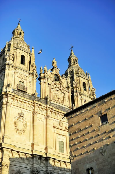 Casa de las Conchas ja La Clerecian kirkko Salamancassa (Cast — kuvapankkivalokuva