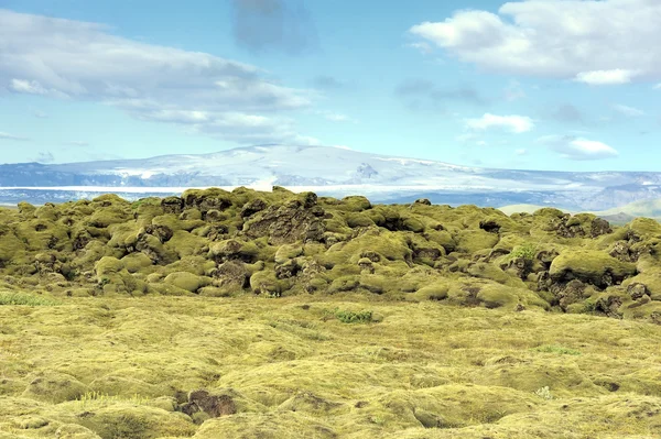 Campo de lava em Eldhraun — Fotografia de Stock