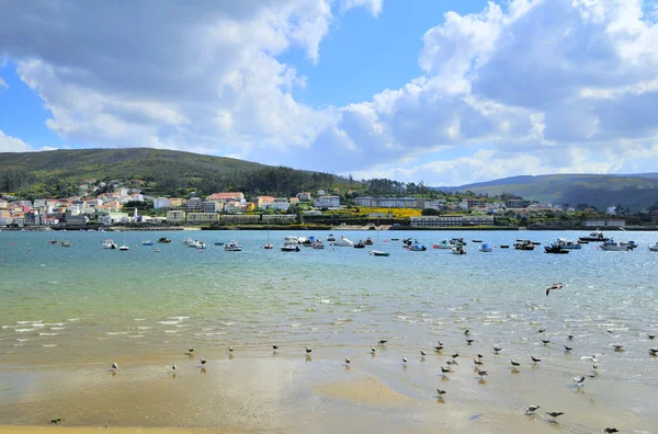 Paisagem da Galiza — Fotografia de Stock