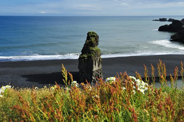 Spiaggia di sabbia vulcanica nera a Dyrholaey, Islanda — Foto Stock
