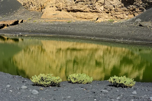 Côte de la lagune verte dans le paysage volcanique, El Golfo, Lanzarote — Photo