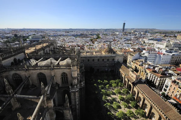 Oranje tuin van de kathedraal van Sevilla, Sevilla, Spanje — Stockfoto