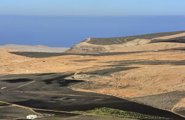 Landscape of Lanzarote Island, Canary Islands, Spain — Stock Photo, Image