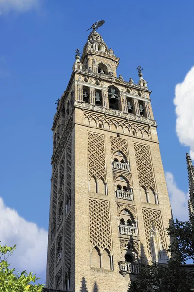 Giralda 塔的塞维利亚，塞维利亚，西班牙的大教堂 — 图库照片