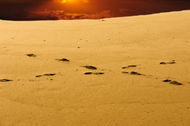 kum üzerinde ayak izleri