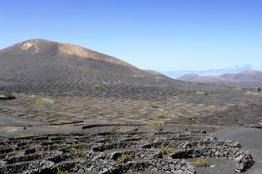 La geria Vadisi, lanzarote Adası, Kanarya Adaları, İspanya