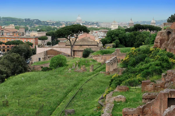 Palatine tepesi, Roma, İtalya — Stok fotoğraf