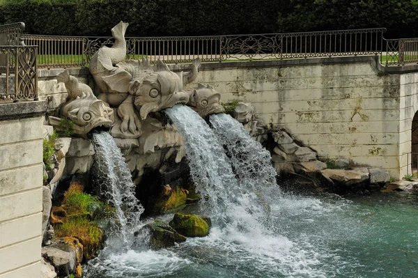 Delfíni fontána, caserta zahrada — Stock fotografie