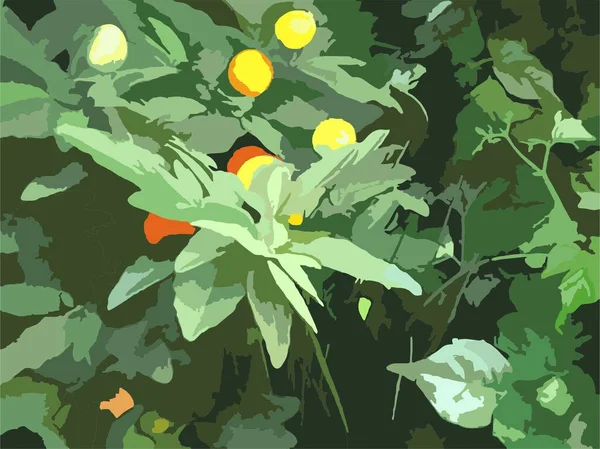 纺织品或印刷品的绿色植物背景 背景和纹理 明信片 面料产品 封面等装饰用橘子树 — 图库矢量图片