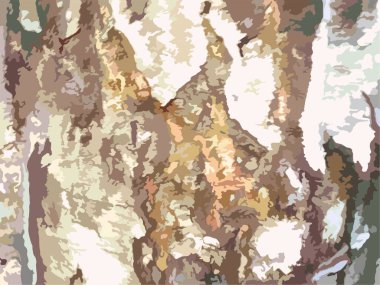 Kamuflaj ya da tekstil için pastel tonlarda güzel ahşap dokular. Grunge gri-kahverengi huş ağacı kabuğu arka plan ve dokular, posterler ve kumaş ürünleri, duvar kağıdı, kartlar, baskılar, kapak, vs..