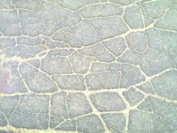 Texture Asphalte Fissuré Dans Tonalité Grise Pour Milieux Papier Peint — Image vectorielle