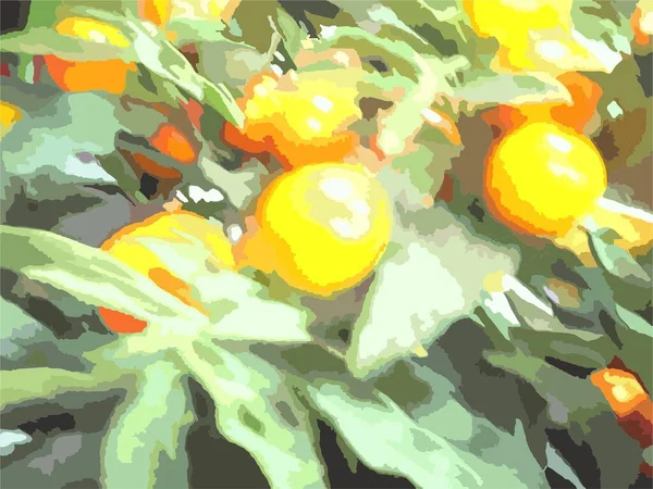 Fruchtmotiv Orange Grünen Tönen Für Hintergründe Und Texturen Mandarinenbaum Für — Stockvektor