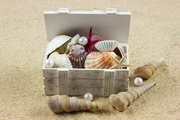 Shells on sand. starfish. treasure — Stock Photo, Image