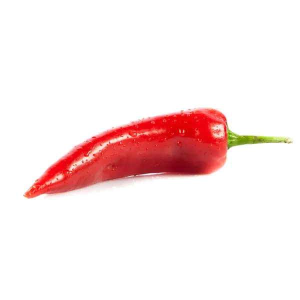 Red chili pepper isolated on white — Stock Photo, Image