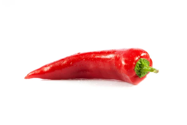 Rote Chilischote isoliert auf weißem — Stockfoto
