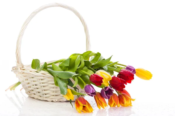 Tulipes dans le panier isolé sur fond blanc. couleurs — Photo