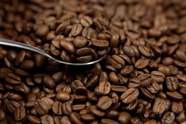 Bohnen aus Kaffee und Löffel — Stockfoto