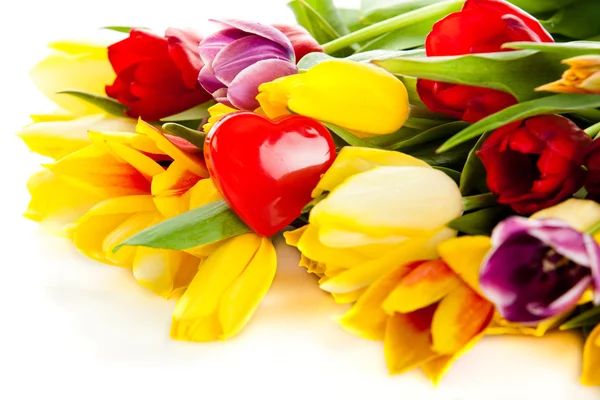 Tulpen geïsoleerd op witte achtergrond. — Stockfoto