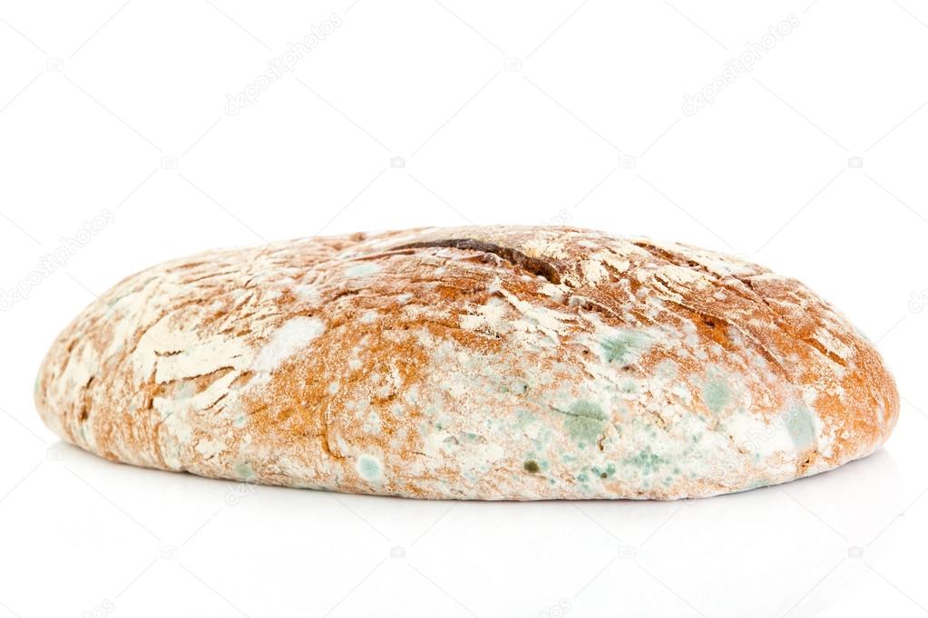 moldy bread isolated on white background