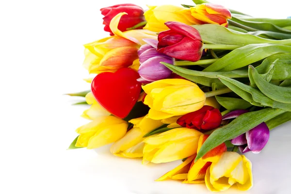 Tulpen geïsoleerd op witte achtergrond. — Stockfoto