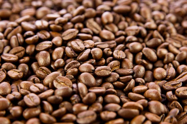 Bönor kaffe — Stockfoto
