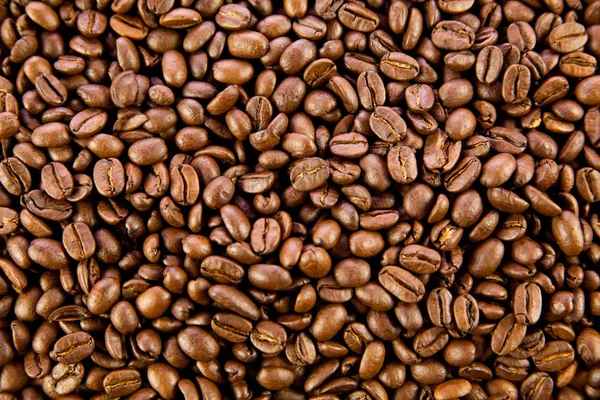 Fagioli di caffè — Foto Stock