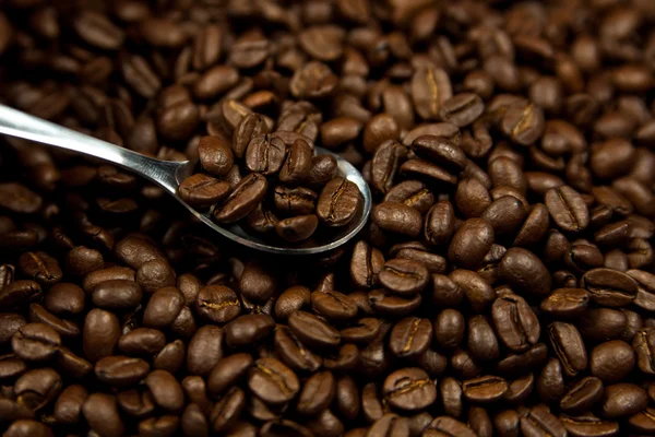 Bohnen aus Kaffee und Löffel — Stockfoto