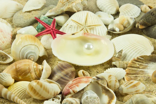 Conchas, pérolas, estrelas do mar na areia — Fotografia de Stock