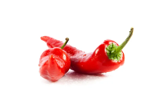 Rote Chilischote isoliert auf weißem — Stockfoto