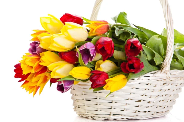 Tulpen im Korb isoliert auf weißem Hintergrund. Farben — Stockfoto