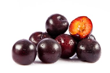 Erikler beyaz arkaplanda izole edildi