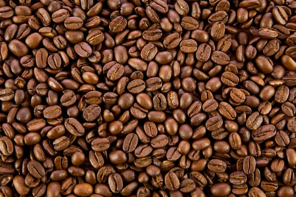 Bonen van de koffie — Stockfoto