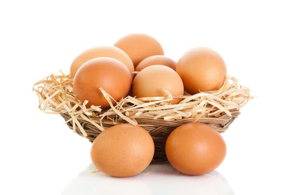 Yumurta isolatedon beyaz arka plan — Stok fotoğraf