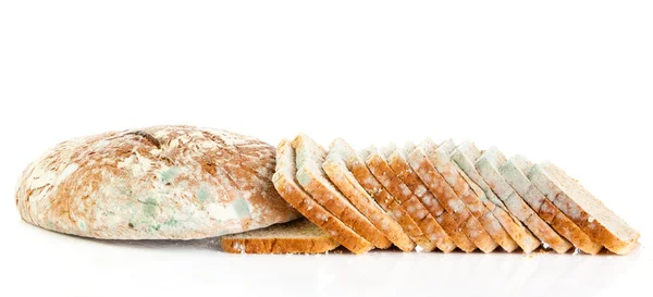 Moldy bread isolated on white background — Stock Photo, Image