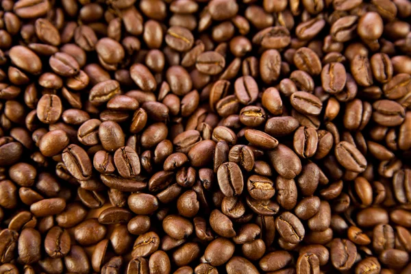 Fagioli di caffè — Foto Stock