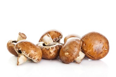 Beyaz Arkaplanda İzole edilmiş Mantar.