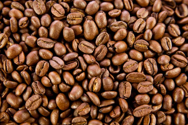 Kahve çekirdekleri — Stok fotoğraf