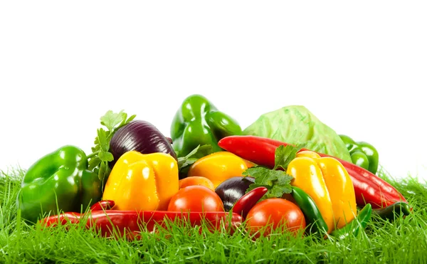 Vegetale su gras verde su fondo bianco isolato — Foto Stock