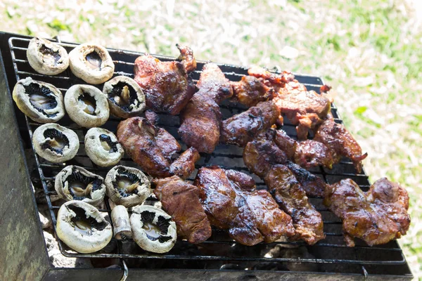 Барбекю смажене м'ясо на відкритому повітрі — стокове фото