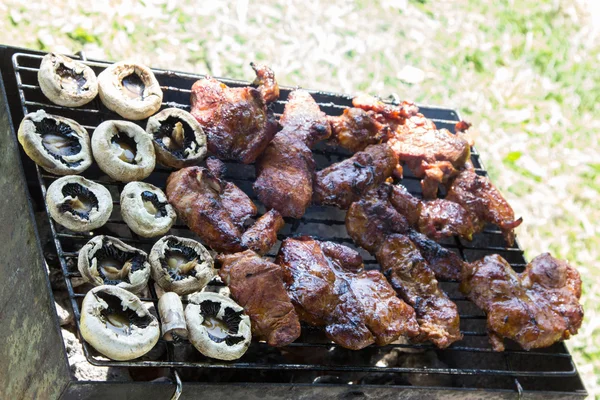 Churrasco carne grelhada ao ar livre — Fotografia de Stock