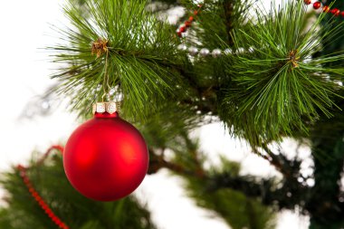 Yılbaşı ağacı süsleri